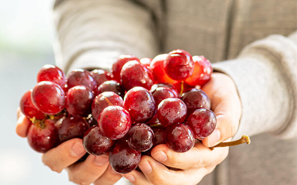 grapes-in-hands